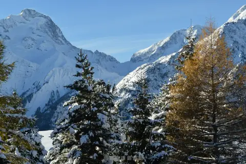 Hotel Serre Palas in Les Deux Alpes, foto 7