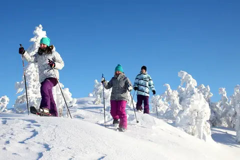 5-daags Winteravontuur Santa Claus in Fins Lapland — foto 5