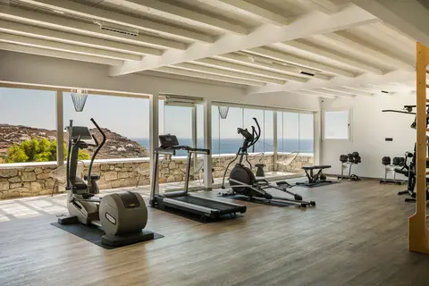 Lyo Boutique Hotel in Πλιντρί — foto 9
