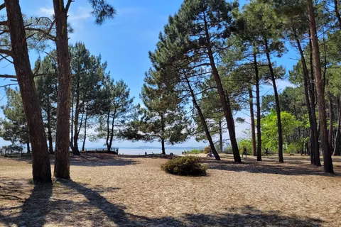 Camping Les Goélands foto 4