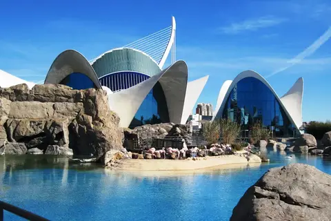 Winterzon in Valencia in Fuengirola