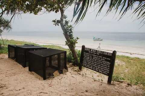 Serena Beach Resort & Spa in Kasemeni ward — foto 29