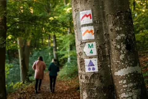 Camping Belle-vue 2000 in Berdorf — foto 24