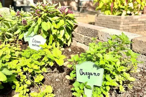 Gasterij Hotel Dennenoord foto 13