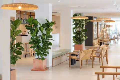 Copaiba by Honne Hotels in Palma — foto 8