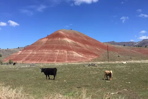 Oregon op het gemak foto 14