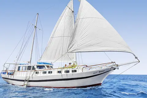 Hurawalhi Island Resort in ނައިފަރު — foto 21