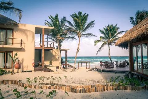 La Zebra in Cancún — foto 15