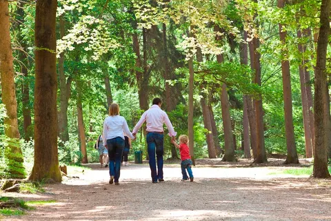 Vakantiepark Beekbergen foto 25