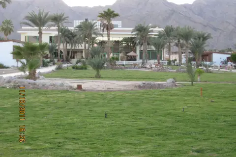 Nuweiba Club Resort in نويبع — foto 23