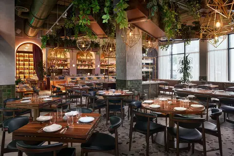 THesis Hotel Miami in Coral Gables — foto 10