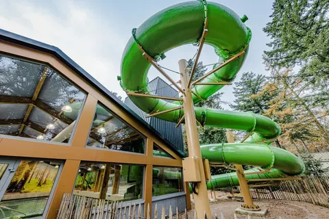 De Utrechtse Heuvelrug foto 1