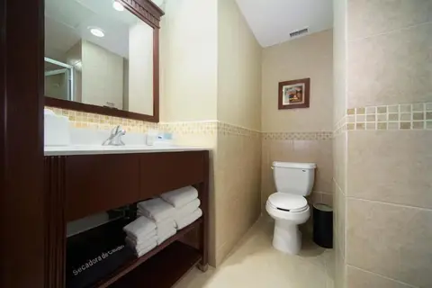 Hampton Inn & Suites Mexico City - Centro Historico in 1a. Región Militar — foto 15
