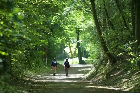 Merici Hotel Sittard foto 23