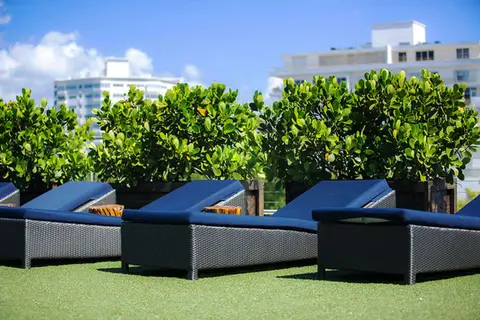 The Catalina Hotel & Beach Club in Miami Beach — foto 21
