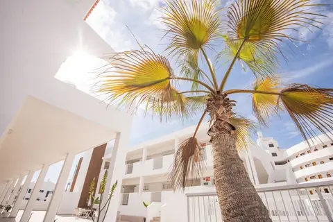 Apartamentos Albatros in Adeje — foto 24