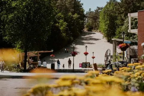 Vakantiepark Buiten Bergen foto 5