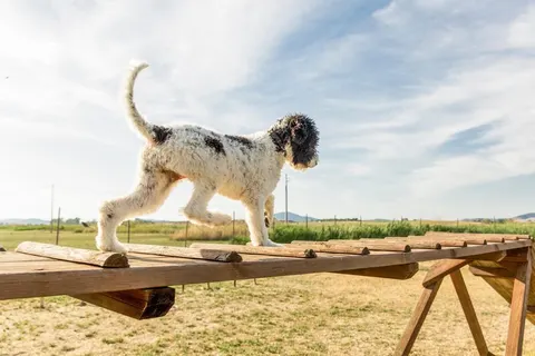 Gitavillage Talamone foto 10