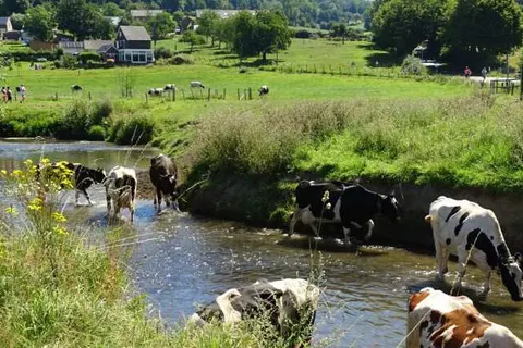 DoubleTree by Hilton Sittard foto 26