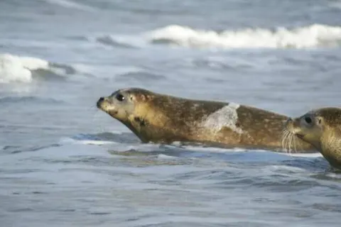 Hotel De Walvisvaarder foto 20