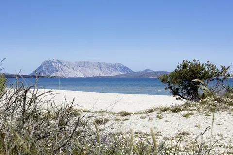 Club Hotel Li Suari in San Teodoro — foto 28