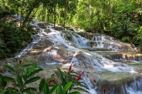 Sandals Dunn's River in Drax Hall — foto 30