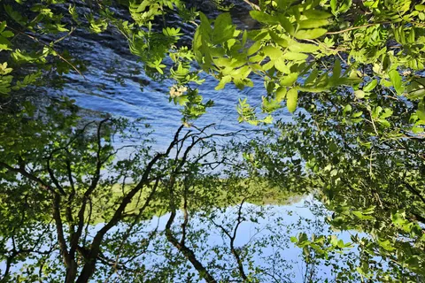 Camping Vestbirk in Østbirk — foto 17