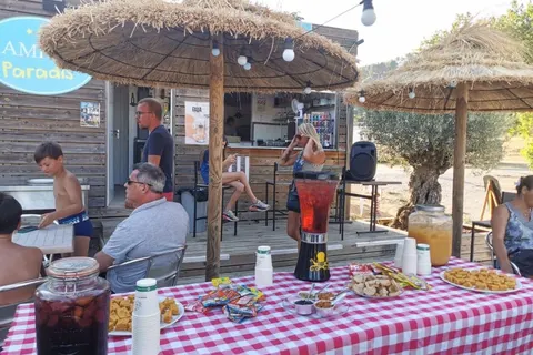 Camping La Roudelière foto 13