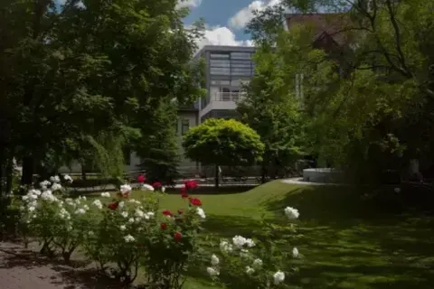 Vlieg-rondreis Buitengewoon Roemenië in Tisău