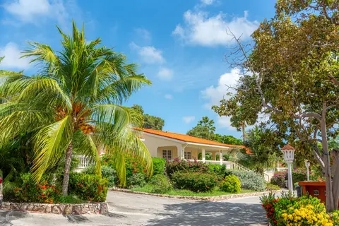 Fly & Go Culinair Livingstone Curaçao in Jan Thiel — foto 28