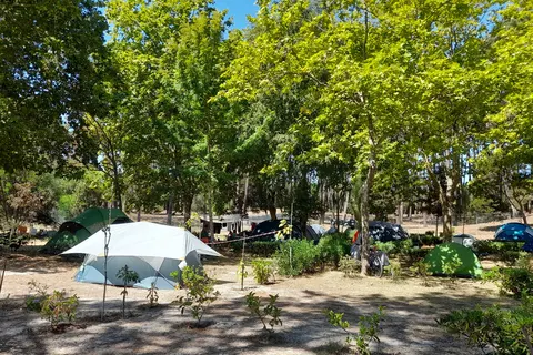 Camping Caminha foto 13
