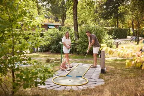 Camping Rcn De Noordster foto 6