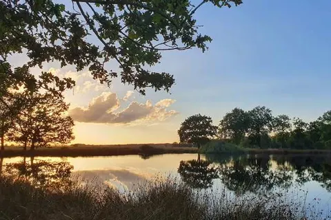 Hotel Martensplek foto 26