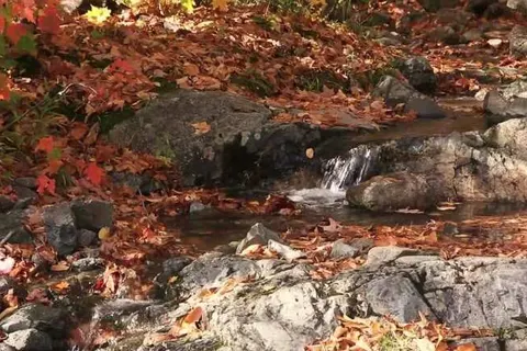 Domaine Moulin d&ampapos;Hotton foto 11