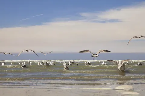 Ibis Budget Oostende Airport in Middelkerke — foto 3