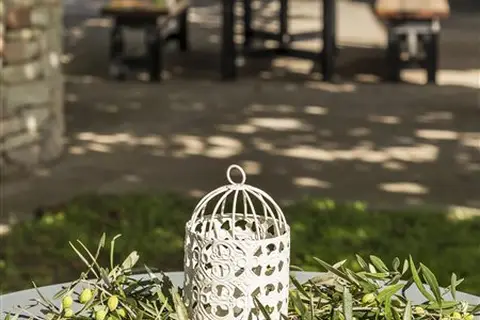 Akroyali Hotel in Δημοτική Ενότητα Πατρέων — foto 17