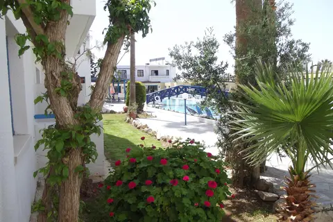 Kefalonitis in Paphos — foto 5