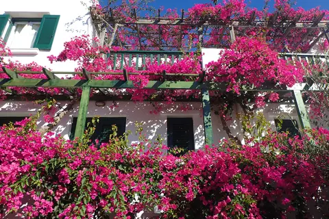 Villea Village in Δημοτική Ενότητα Μακρύ Γιαλού — foto 8