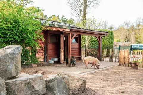 Vakantiepark De Achterhoek foto 13