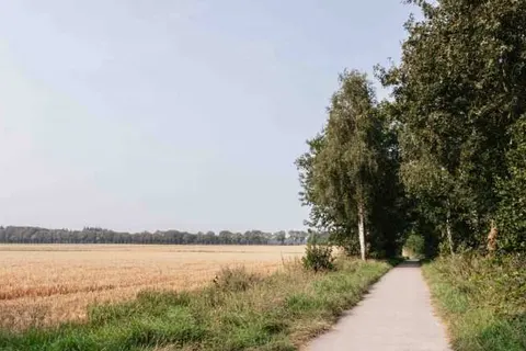 Villapark De Hondsrug foto 14