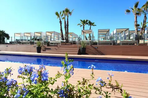 Zafiro Palace Palmanova & Spa in Calvià, foto 17