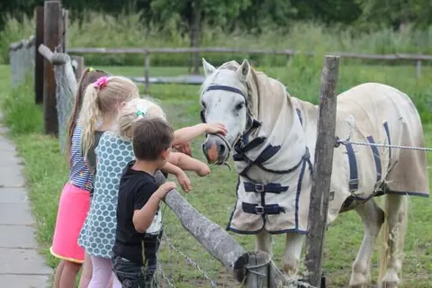 Fruitpark Hotel en Spa foto 29