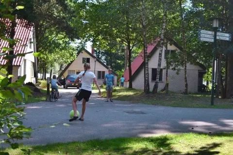 Oostappen Vakantiepark Boschbeek foto 1