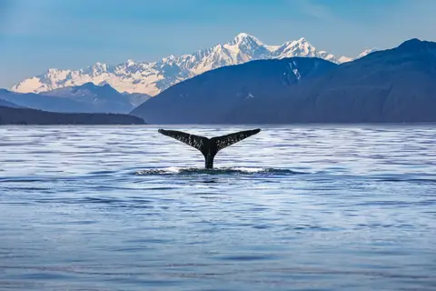 Grand Alaska Tour in Valdez — foto 2