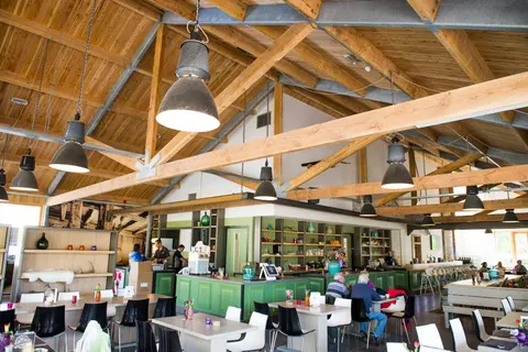 Vakantiepark De Wije Werelt foto 22