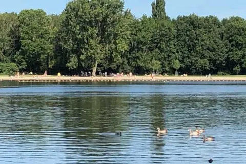 Vakantiepark Delftse Hout foto 19