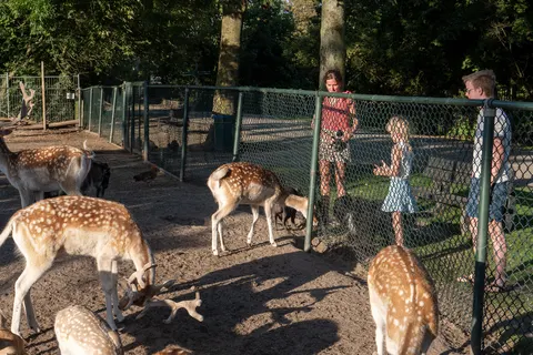 Camping De Krabbeplaat foto 7