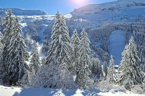 Résidence Castor in Flaine, foto 7