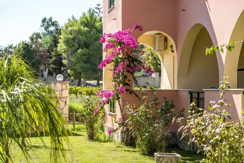 Koukla Mare Studios in Laganas Municipal Unit — foto 13
