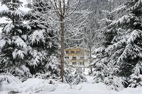 Frühstückspension Waldeck in Mayrhofen — foto 8